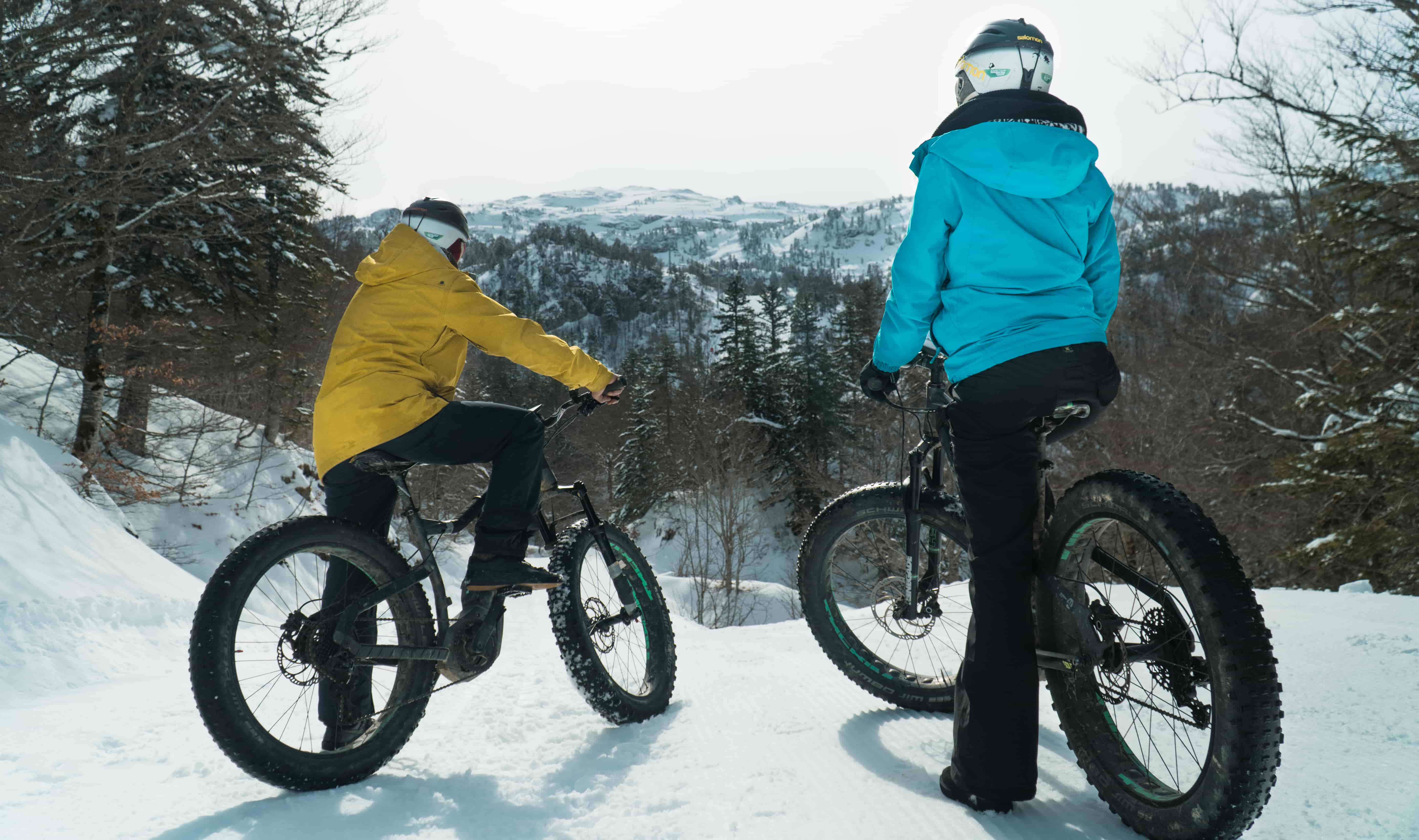 fat bike LPSM